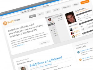 BuddyPressとbbPress、muの連携設定